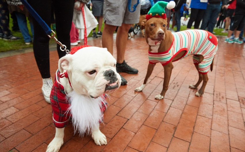 Ontario 5K Reindeer Run! City of Ontario, California